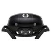 Napoleon Travel Q Pro 285 Gasgrill Schwarz