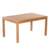 Zebra Bali Gartentisch 160x90cm Teak Natur